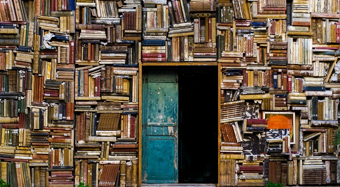 RAMBLES IN THE BRAMBLES